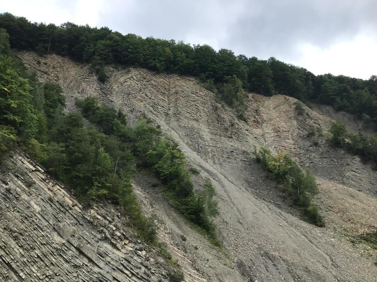 Рукавичка Yaremche Exterior foto